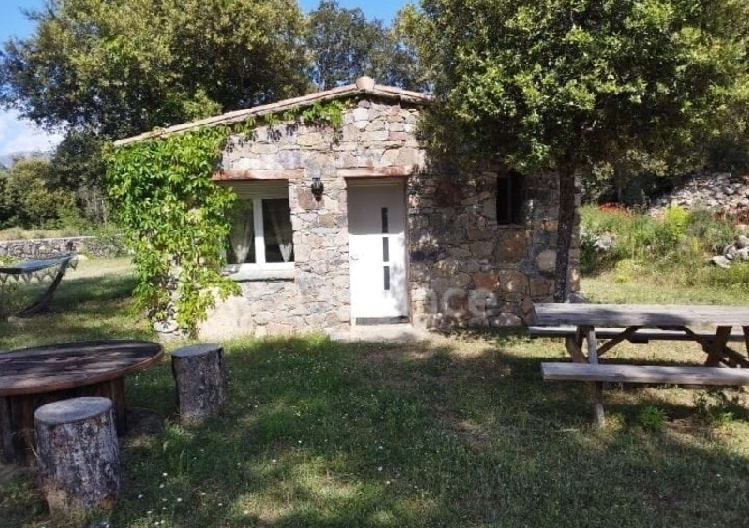  kaufen Haus Moltifao Haute-Corse 3