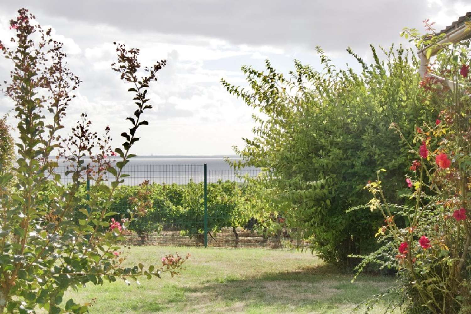  à vendre maison Barzan Charente-Maritime 2