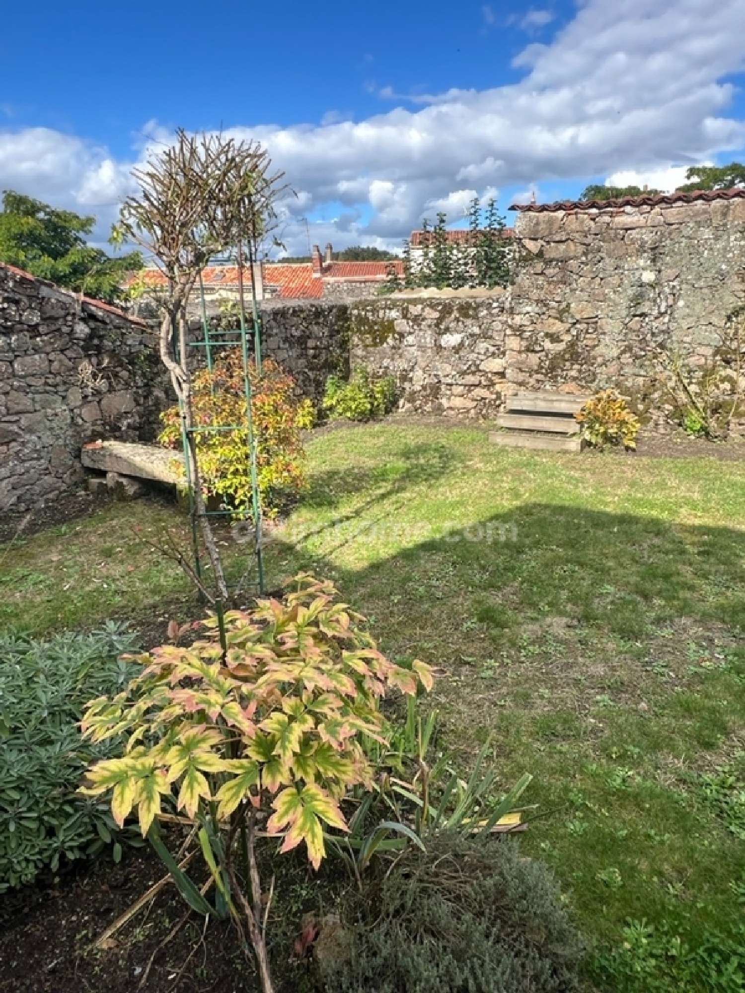  kaufen Haus Mortagne-sur-Sèvre Vendée 1