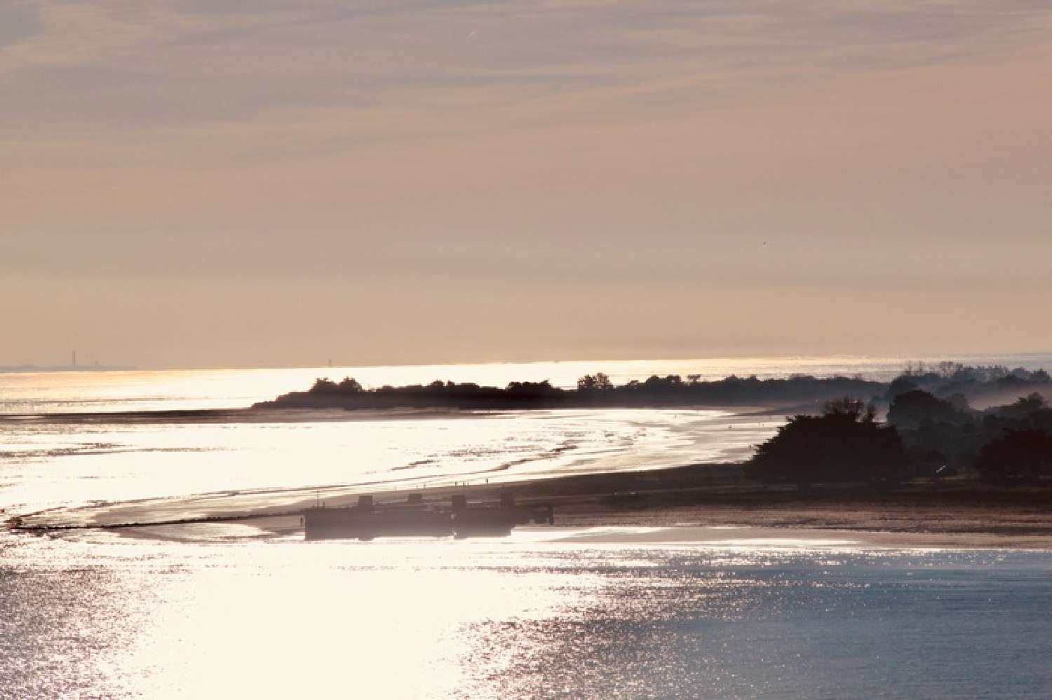  kaufen Haus Rivedoux-Plage Charente-Maritime 4