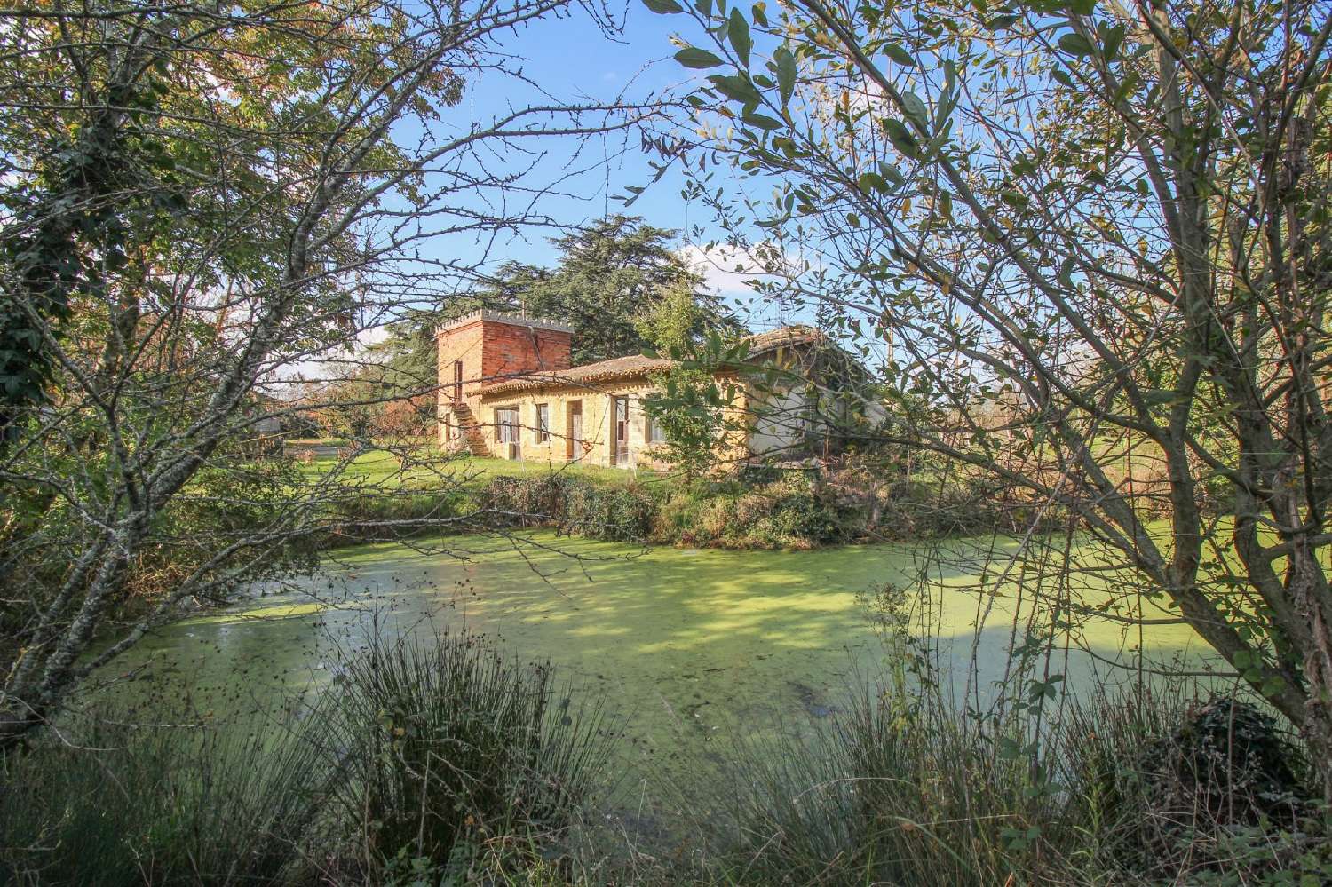  kaufen Haus Saint-Sardos Tarn-et-Garonne 7