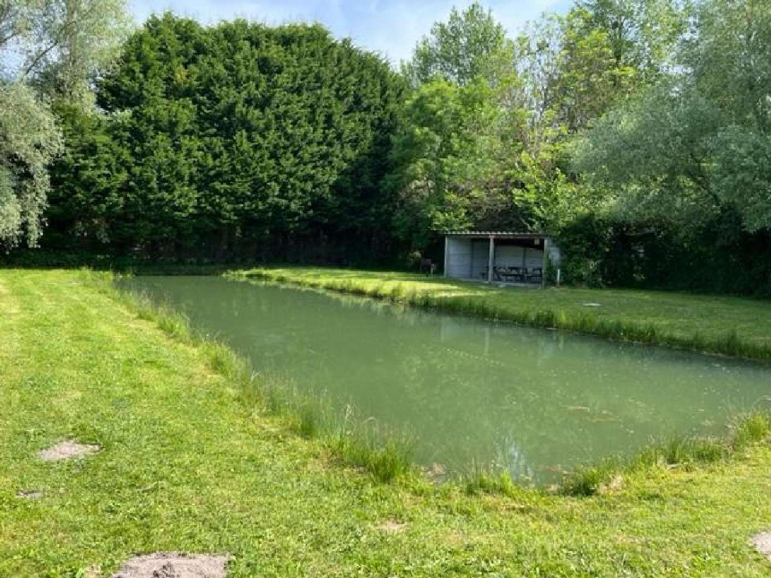  kaufen Haus Villers-sur-Authie Somme 5