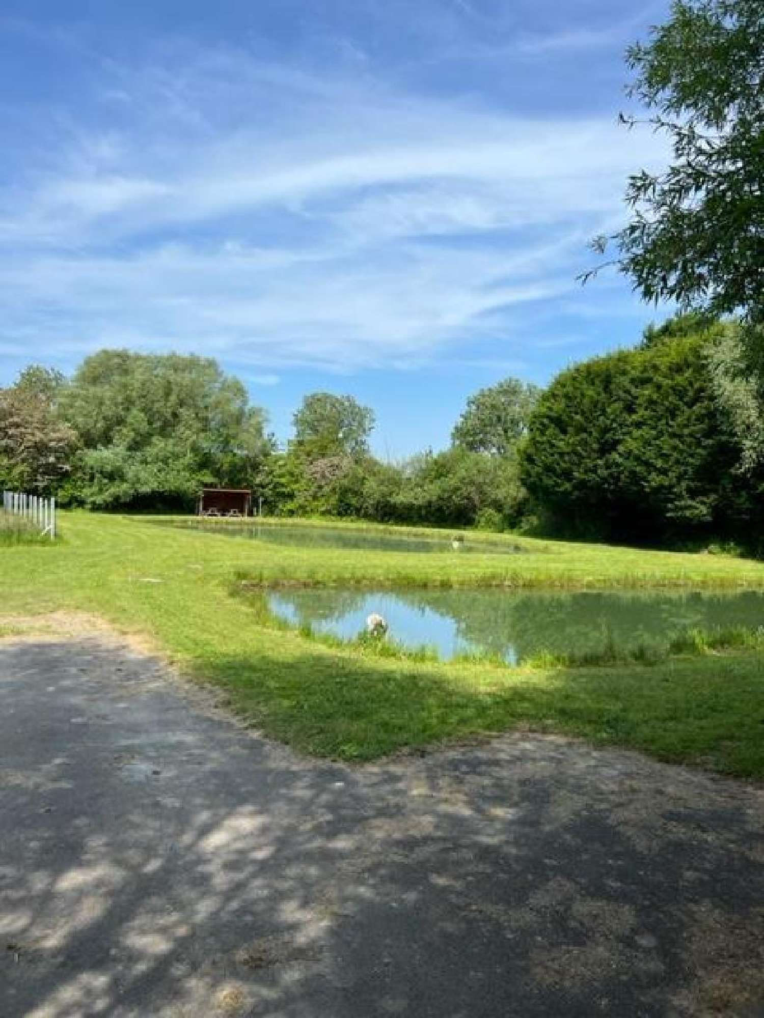  kaufen Haus Villers-sur-Authie Somme 8