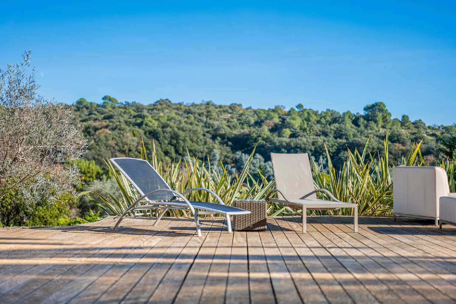 kaufen Villa Biot Alpes-Maritimes 6