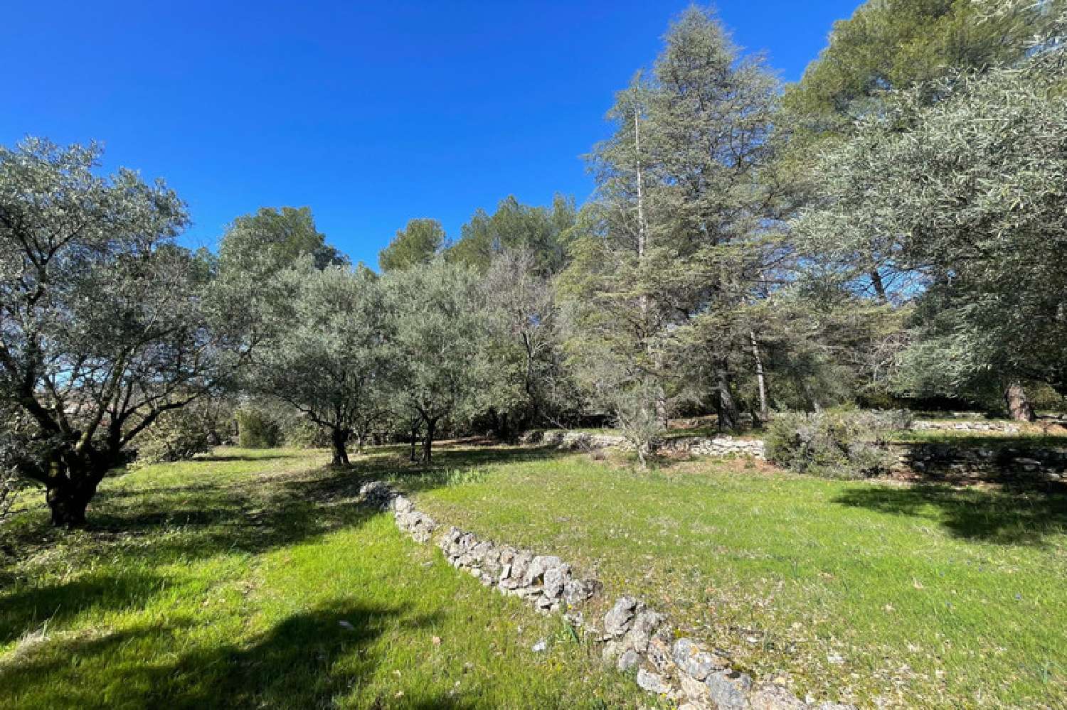  kaufen Villa Draguignan Var 2