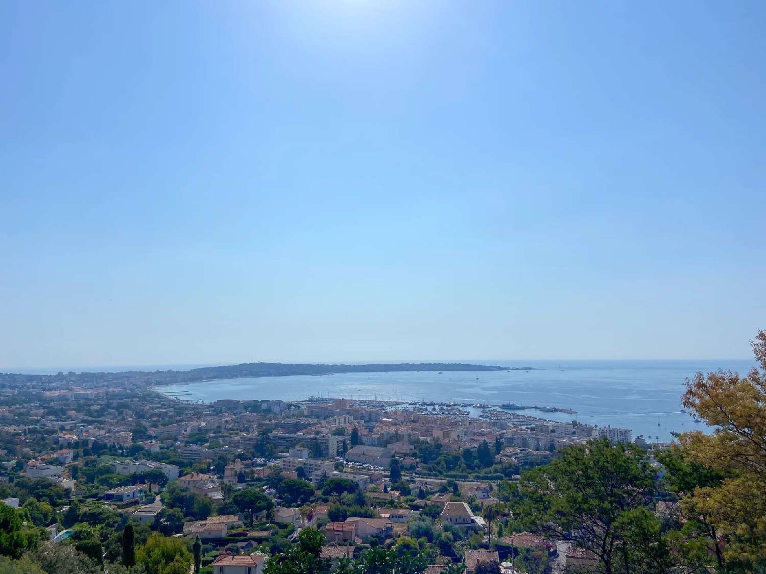  kaufen Villa Vallauris Alpes-Maritimes 1