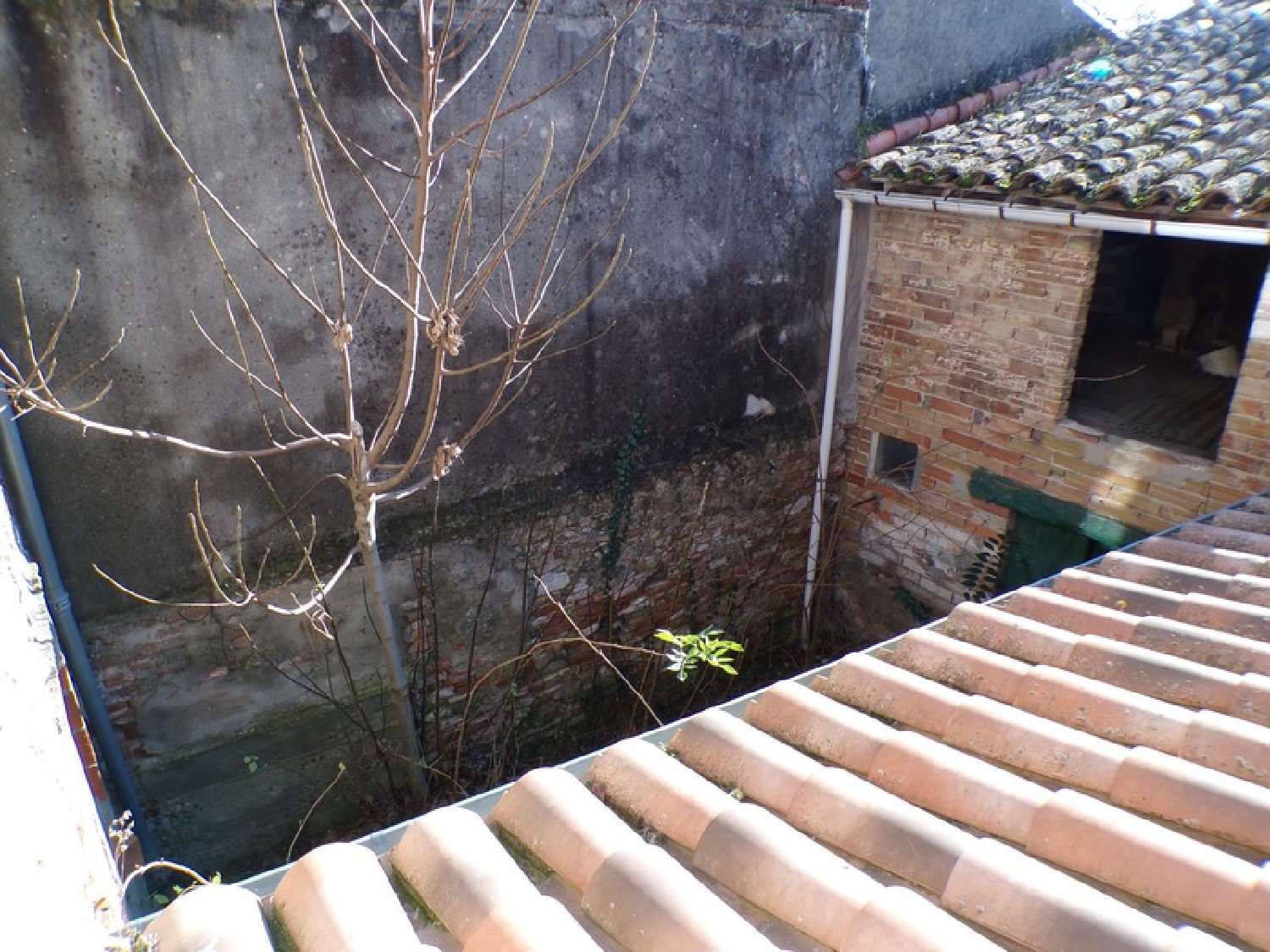  kaufen Dorfhaus Villasavary Aude 6