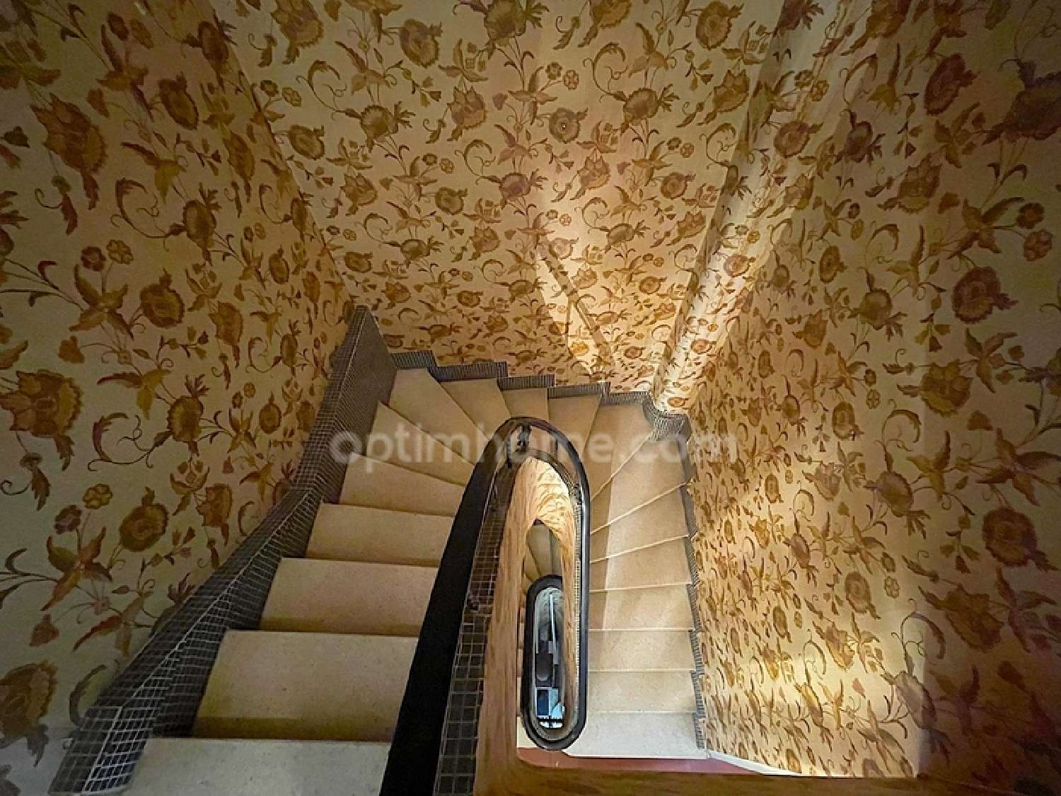  kaufen Dorfhaus Tuchan Aude 5