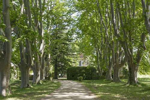 for sale vineyard Gigondas Vaucluse 3