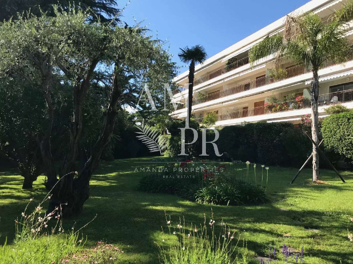  kaufen Wohnung/ Apartment Cannes Alpes-Maritimes 1