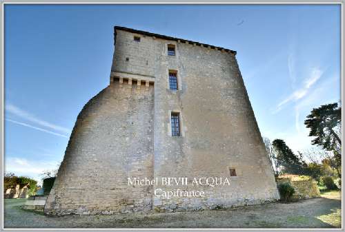  for sale castle Ourouer-lès-Bourdelins Cher 2