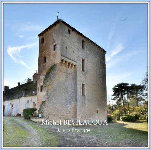  for sale castle Ourouer-lès-Bourdelins Cher 3