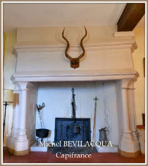  for sale castle Ourouer-lès-Bourdelins Cher 7