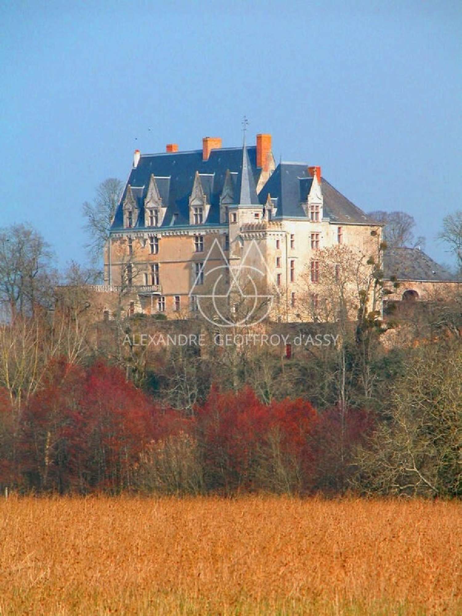  kaufen Schloss Sablé-sur-Sarthe Sarthe 4