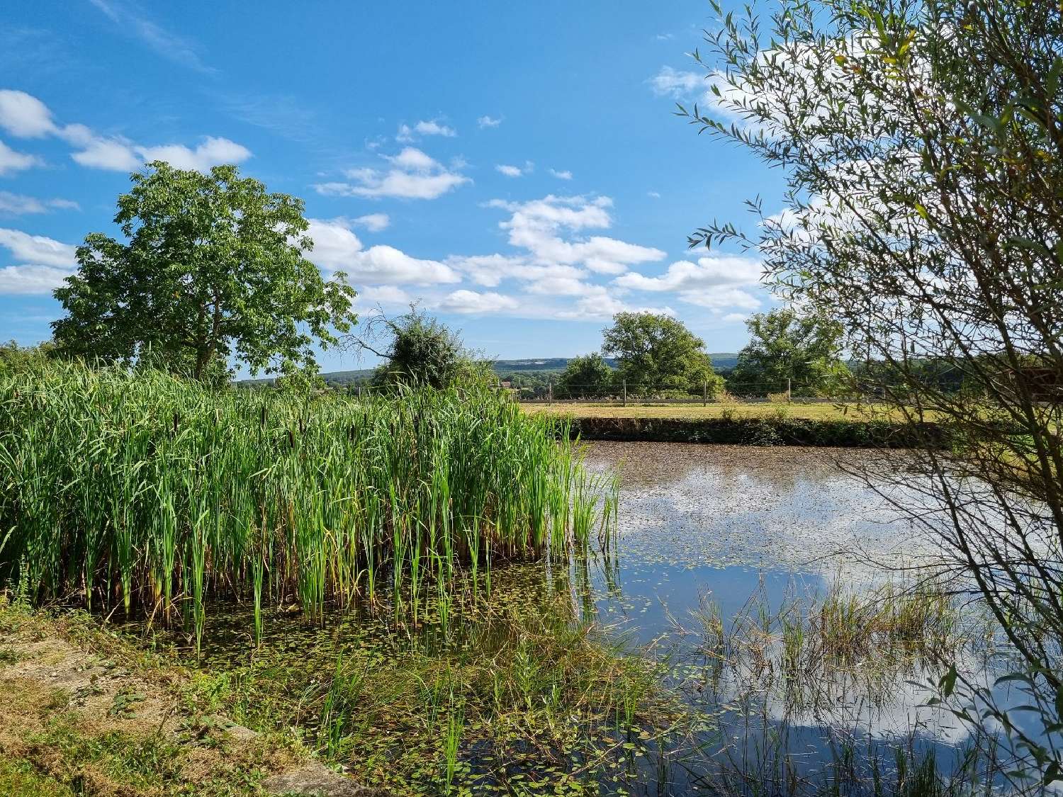  kaufen Landgut Autry-Issards Allier 6