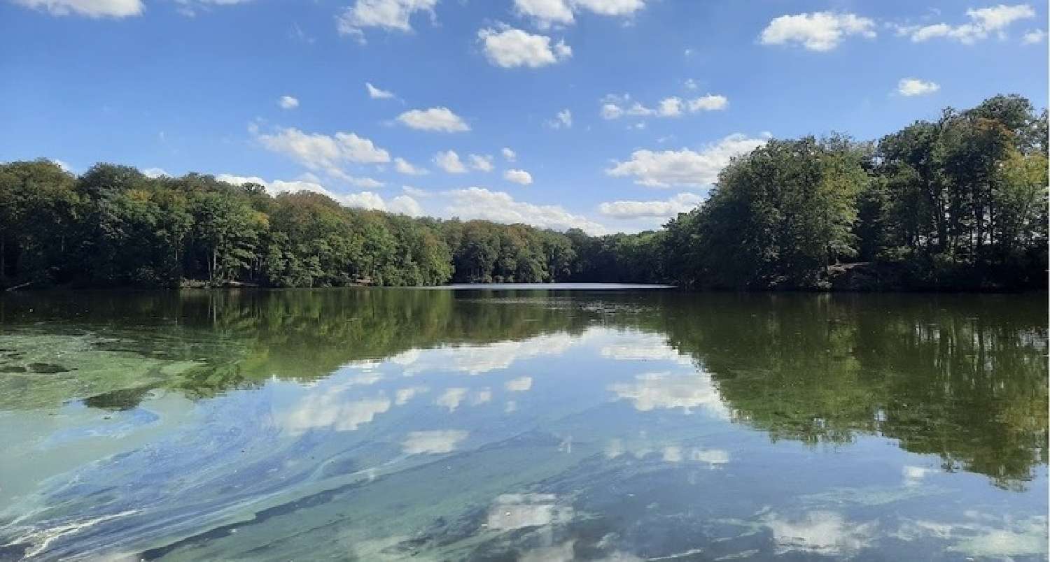  kaufen Landgut Lamarche Vogesen 7