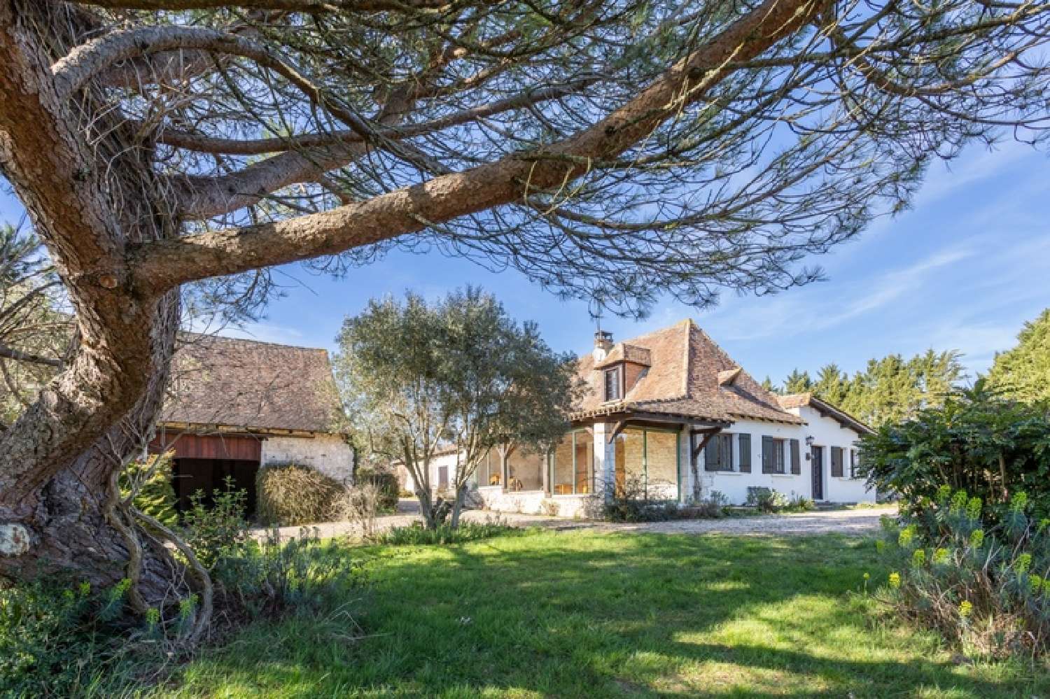  kaufen Bauernhof Bergerac Dordogne 2