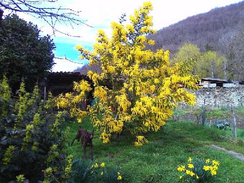  te koop boerderij Foix Ariège 2