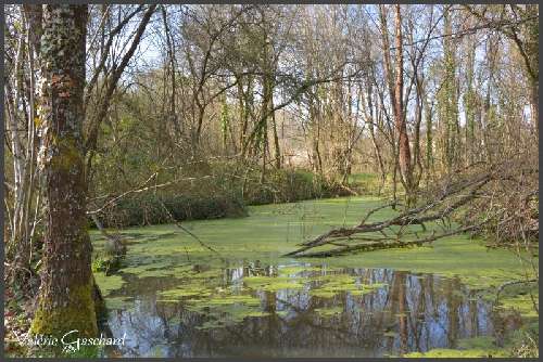  te koop boerderij Coutras Gironde 4