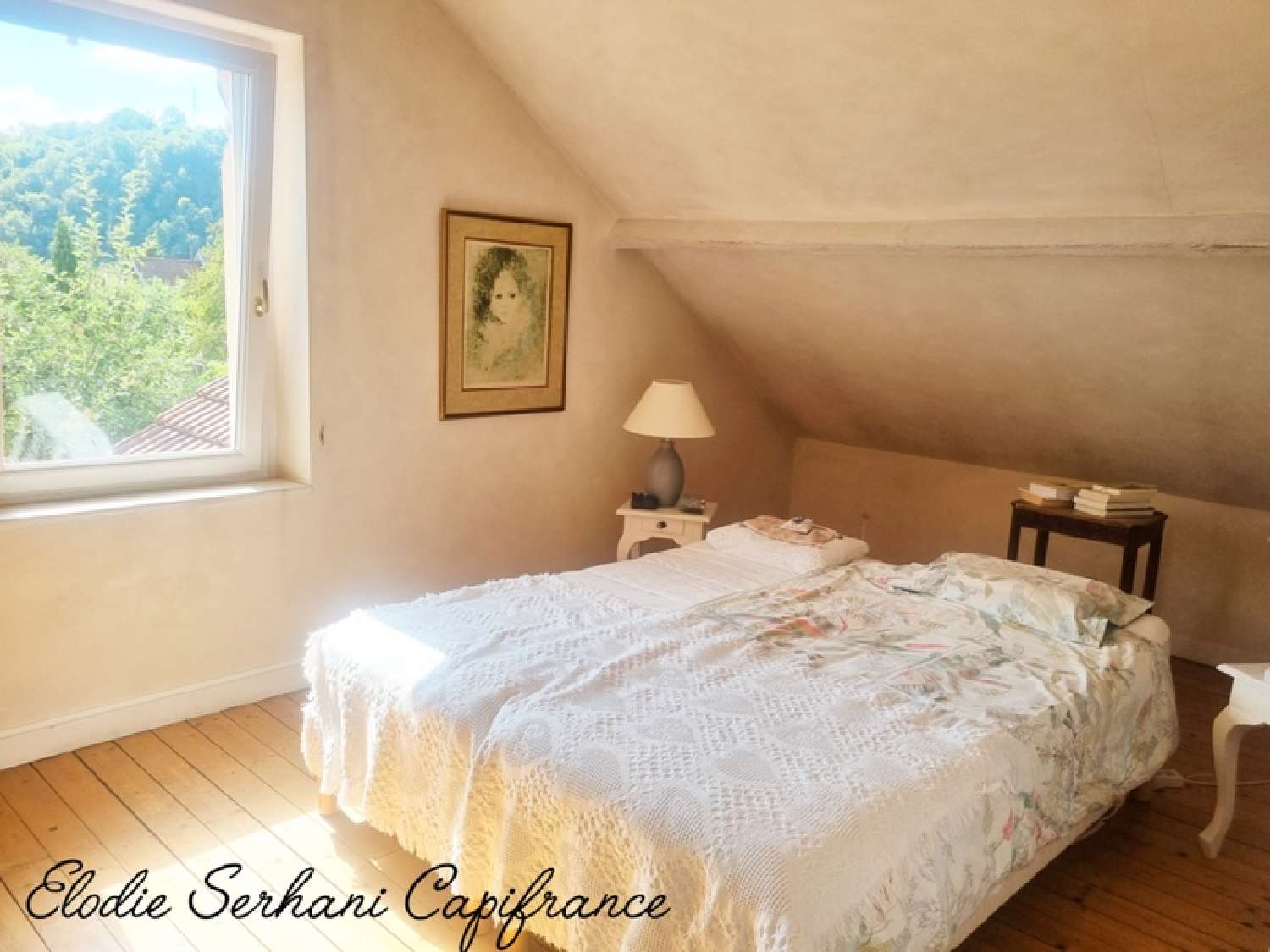  kaufen Haus Montbéliard Doubs 6