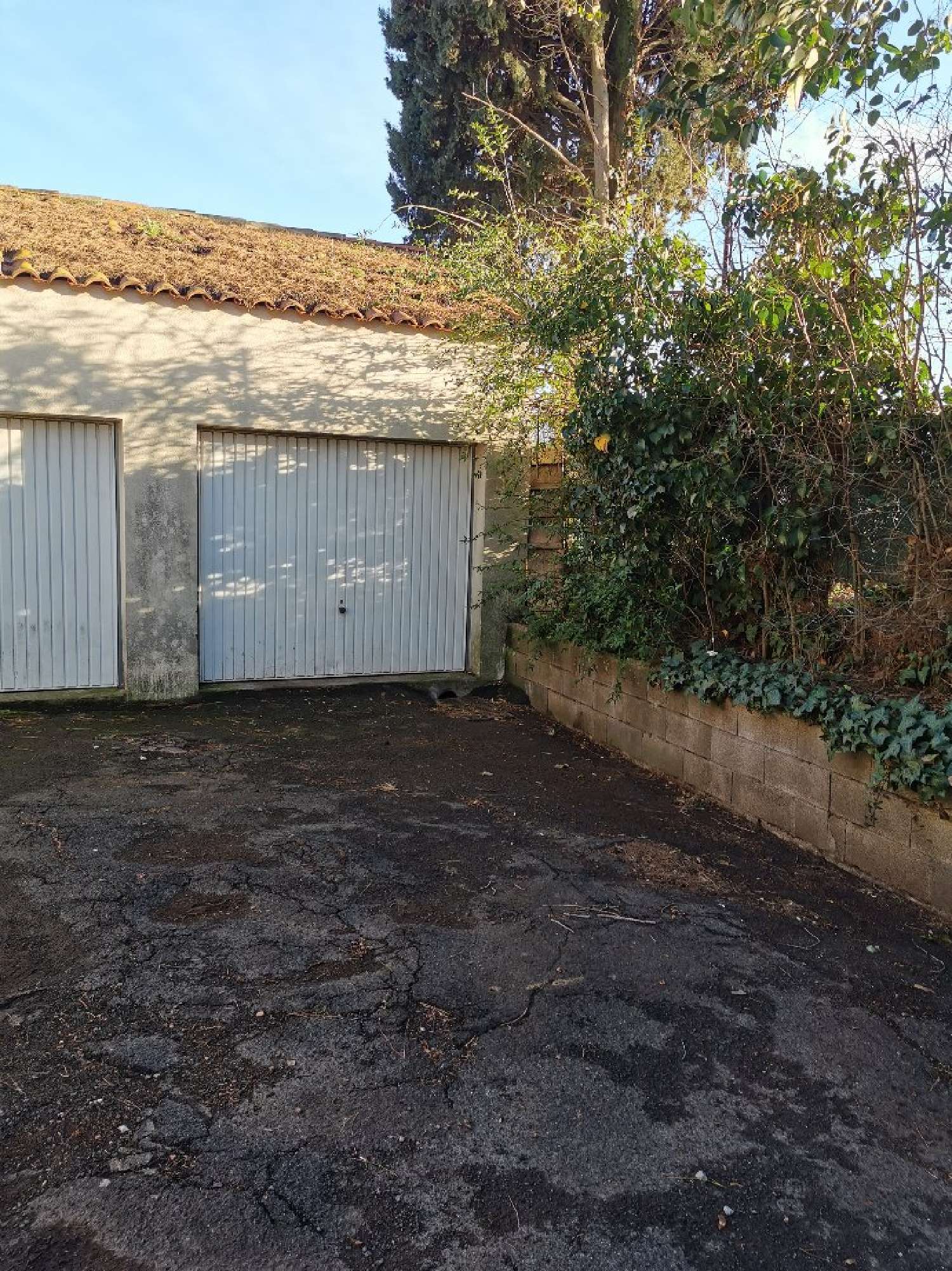  te koop kantoor Béziers Hérault 1