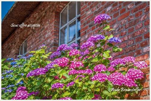 Bezons Val-d'Oise Haus Bild 7031462