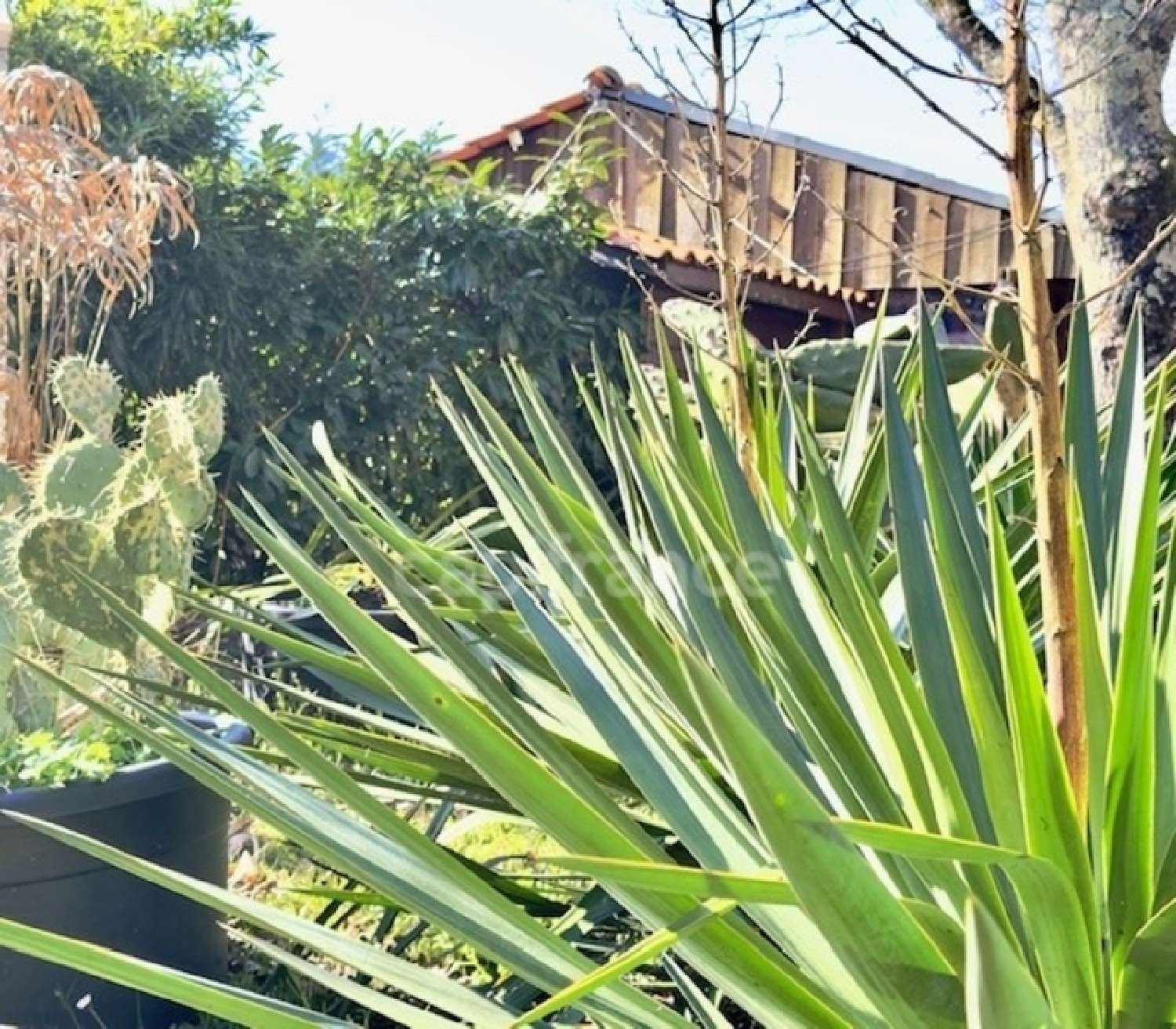 à vendre maison Biganos Gironde 1