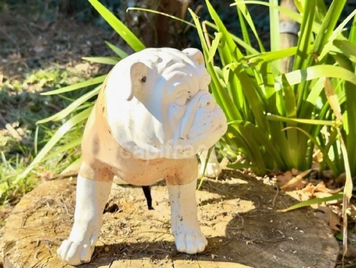  à vendre maison Biganos Gironde 5