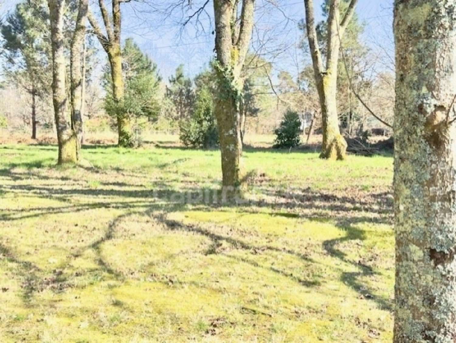  à vendre maison Biganos Gironde 6