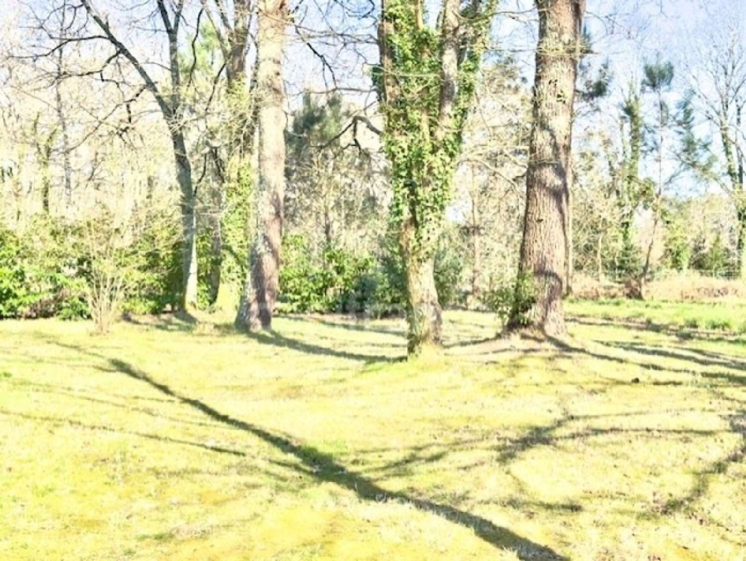  à vendre maison Biganos Gironde 7