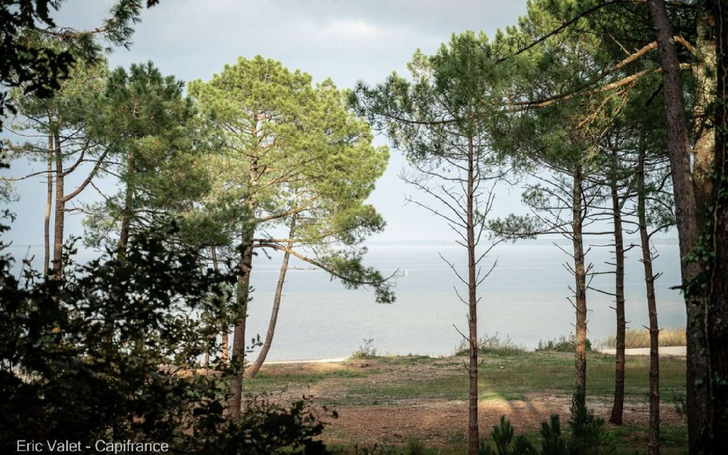  kaufen Haus Biscarrosse Landes 2