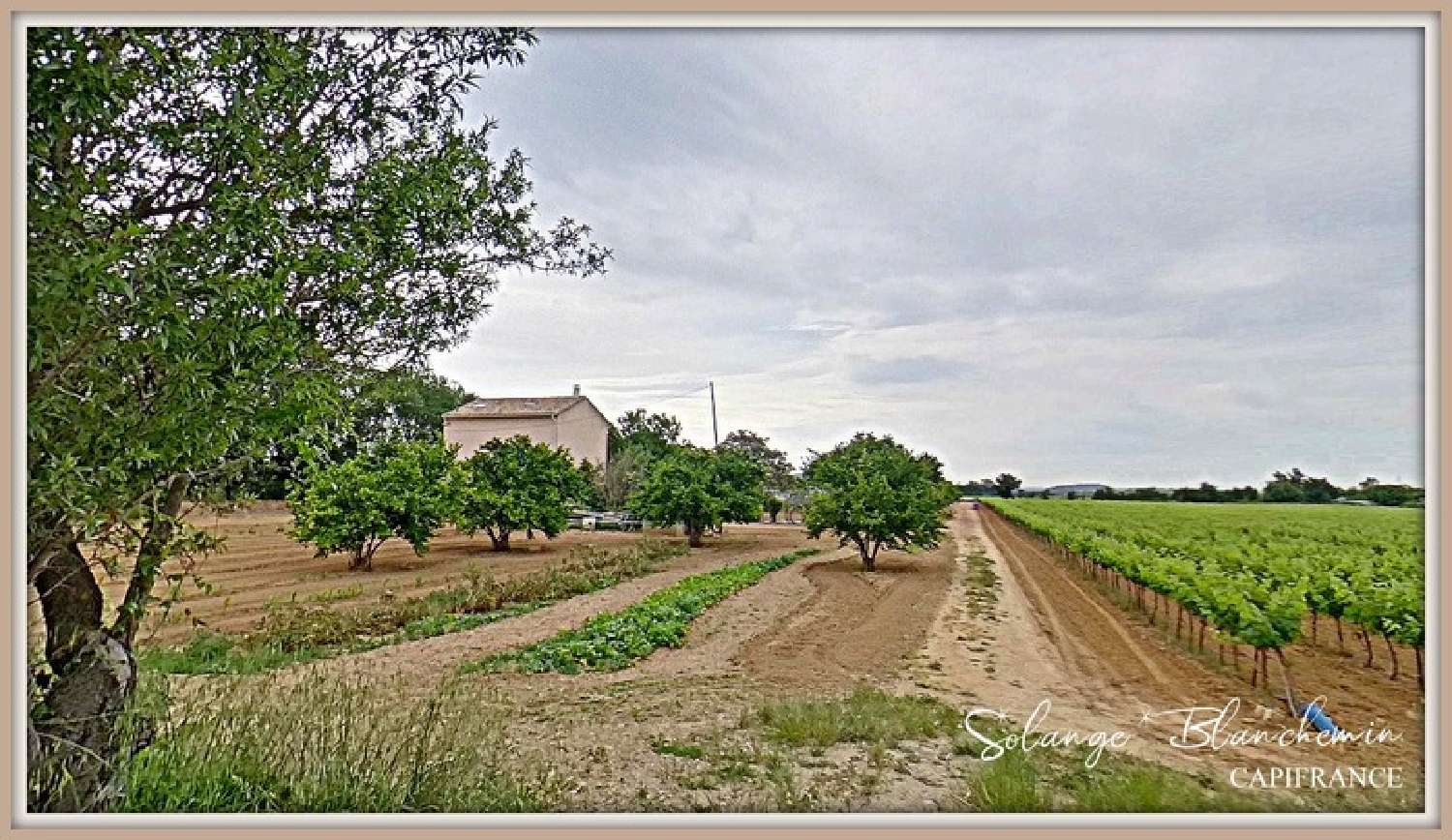  kaufen Bauernhof Cazouls-lès-Béziers Hérault 2