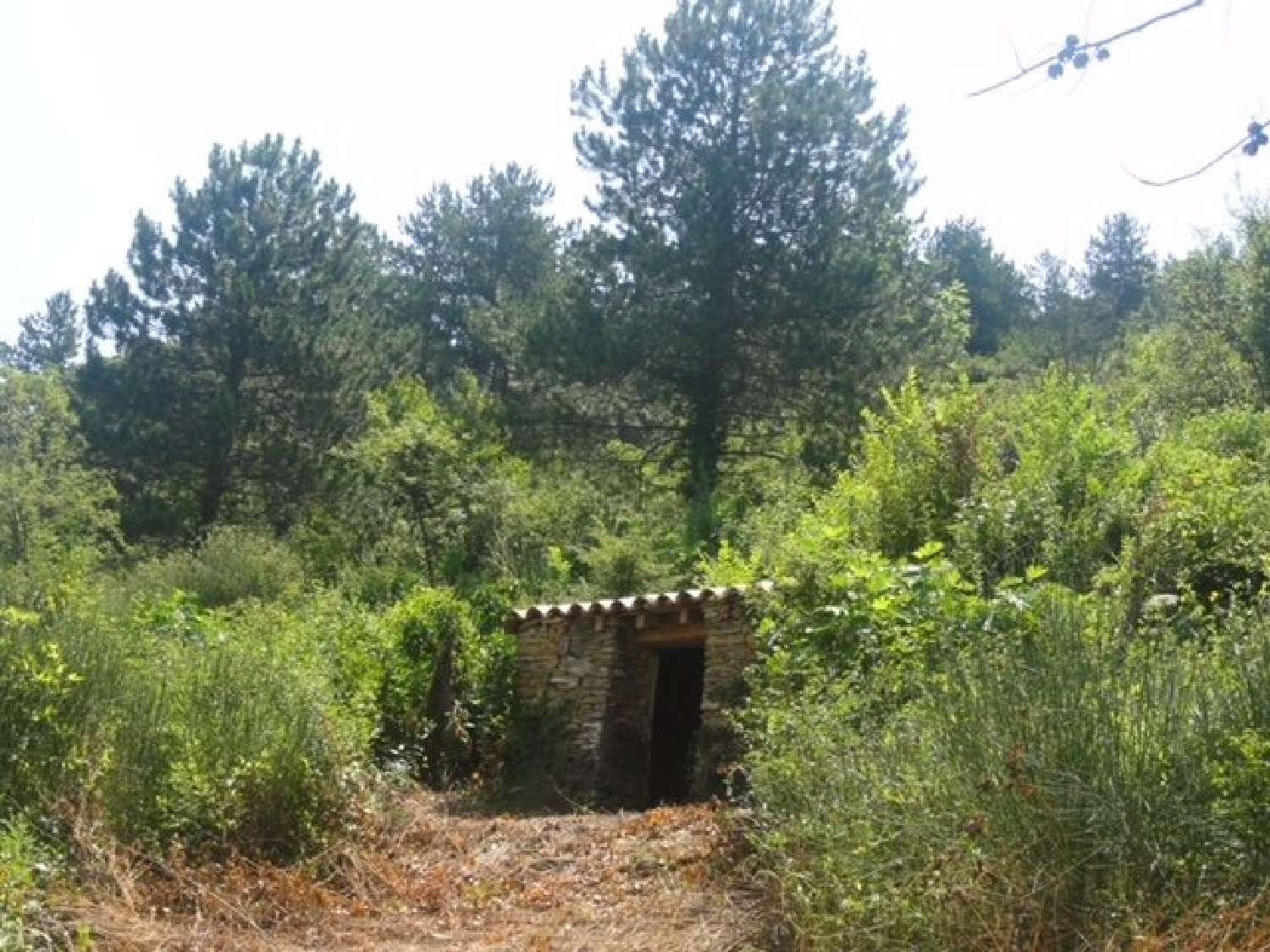  kaufen Haus Couiza Aude 6