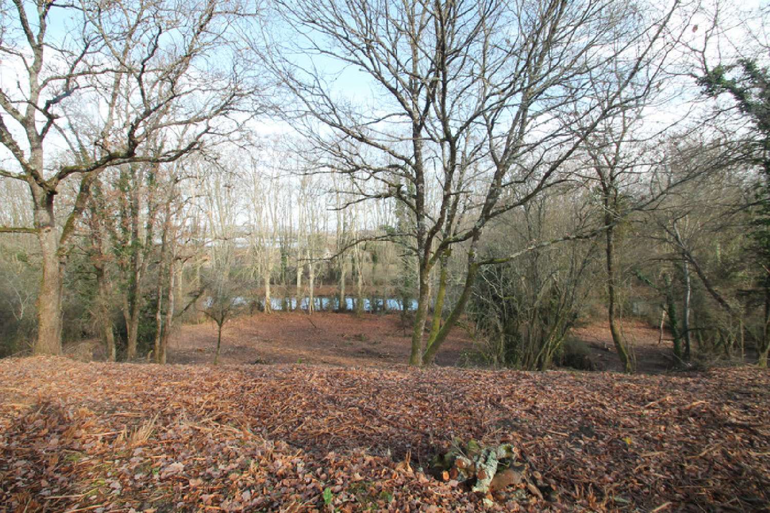  kaufen Haus Damazan Lot-et-Garonne 7