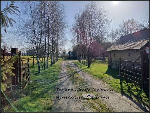 Fontaine-Couverte Mayenne Haus Bild 7038286