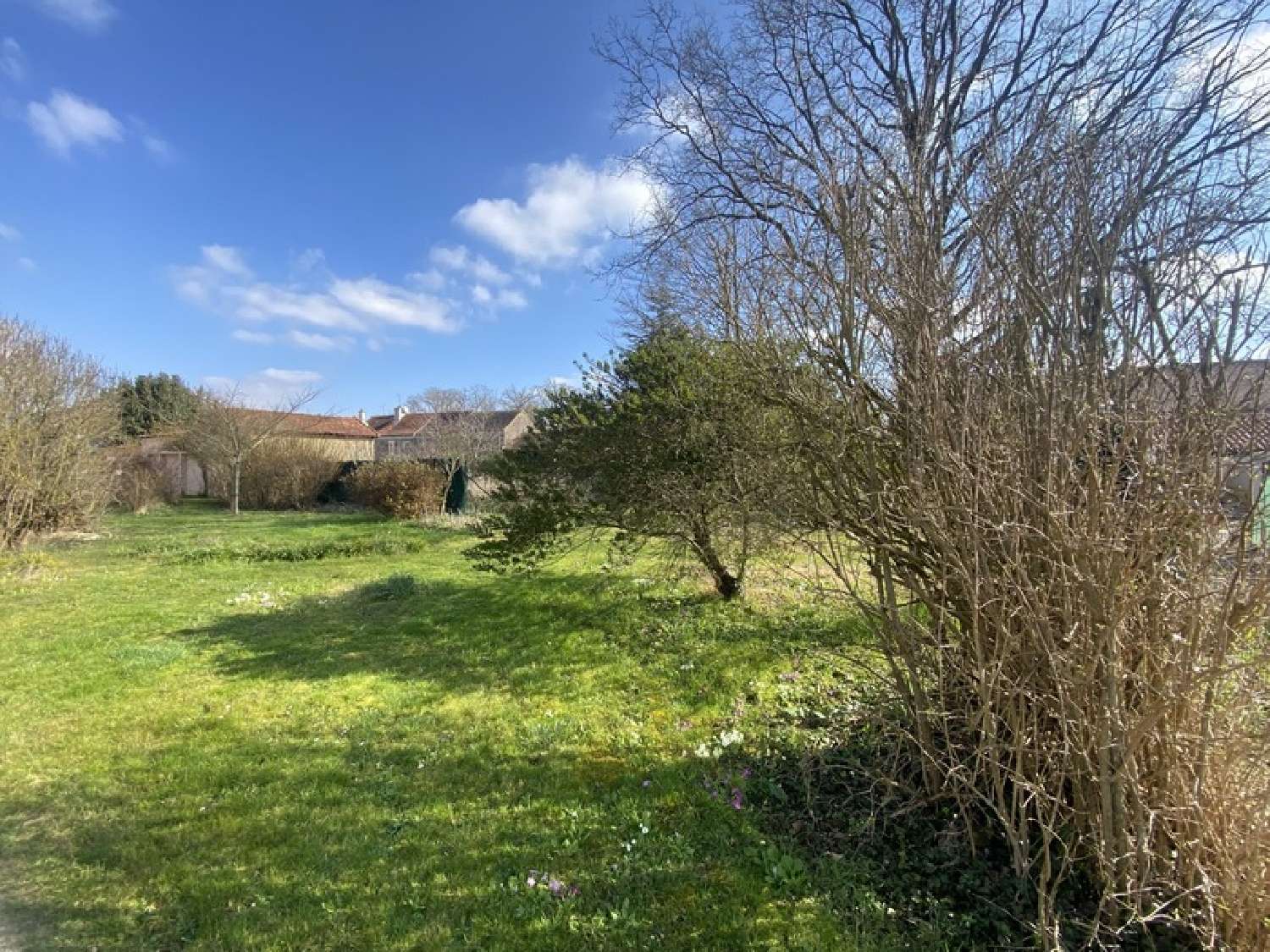  kaufen Haus Fontaines Saône-et-Loire 4
