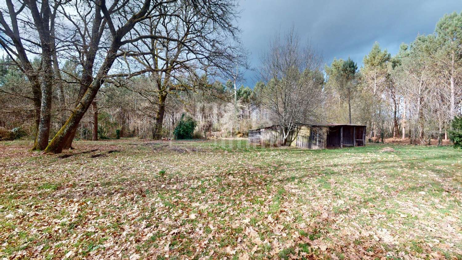  kaufen Haus Grignols Gironde 2
