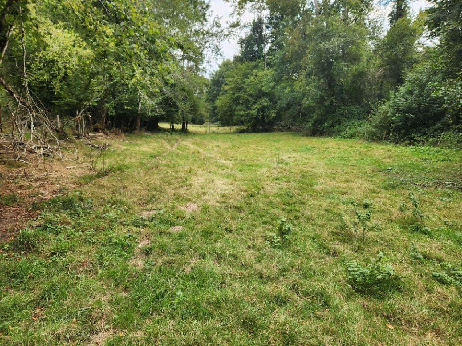 kaufen Haus Hiesse Charente 2