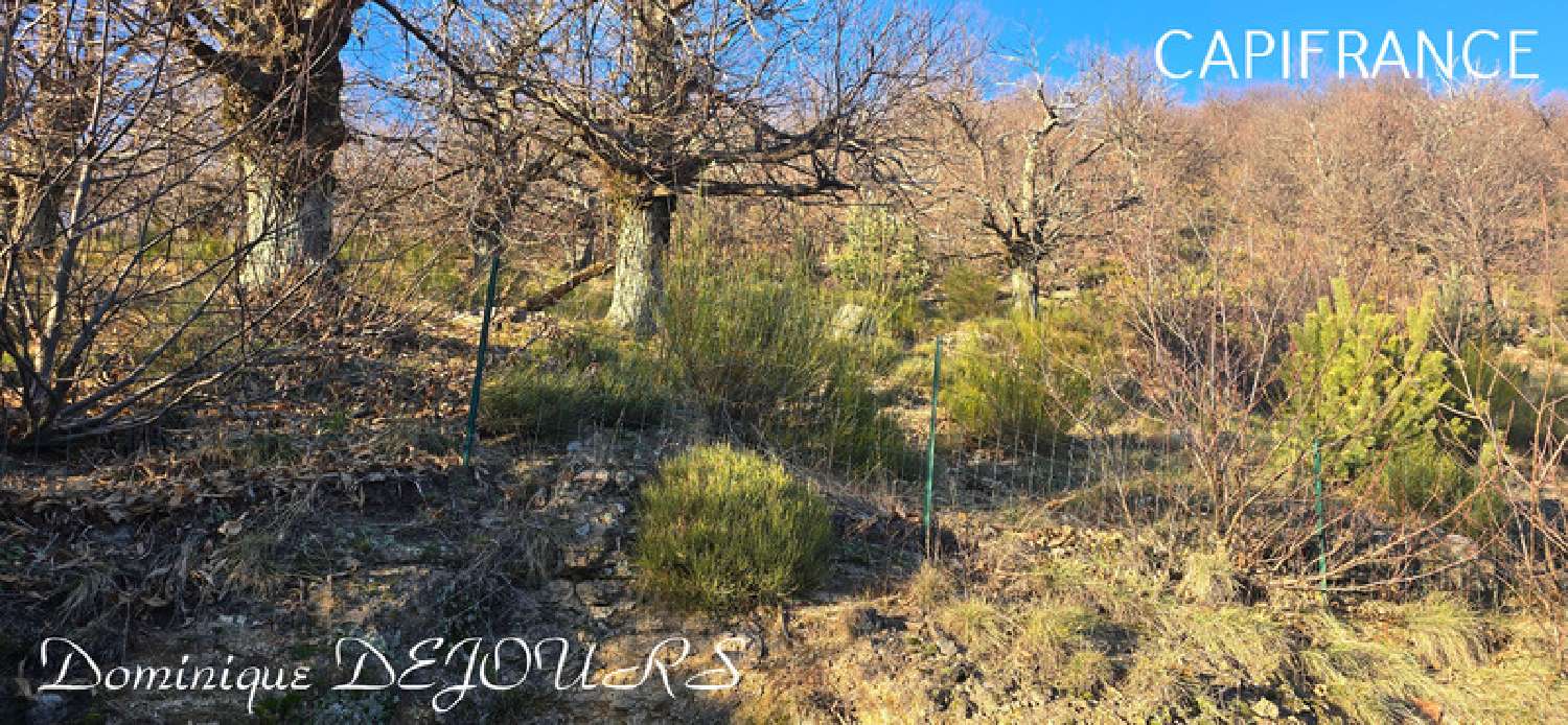  kaufen Haus Issamoulenc Ardèche 4