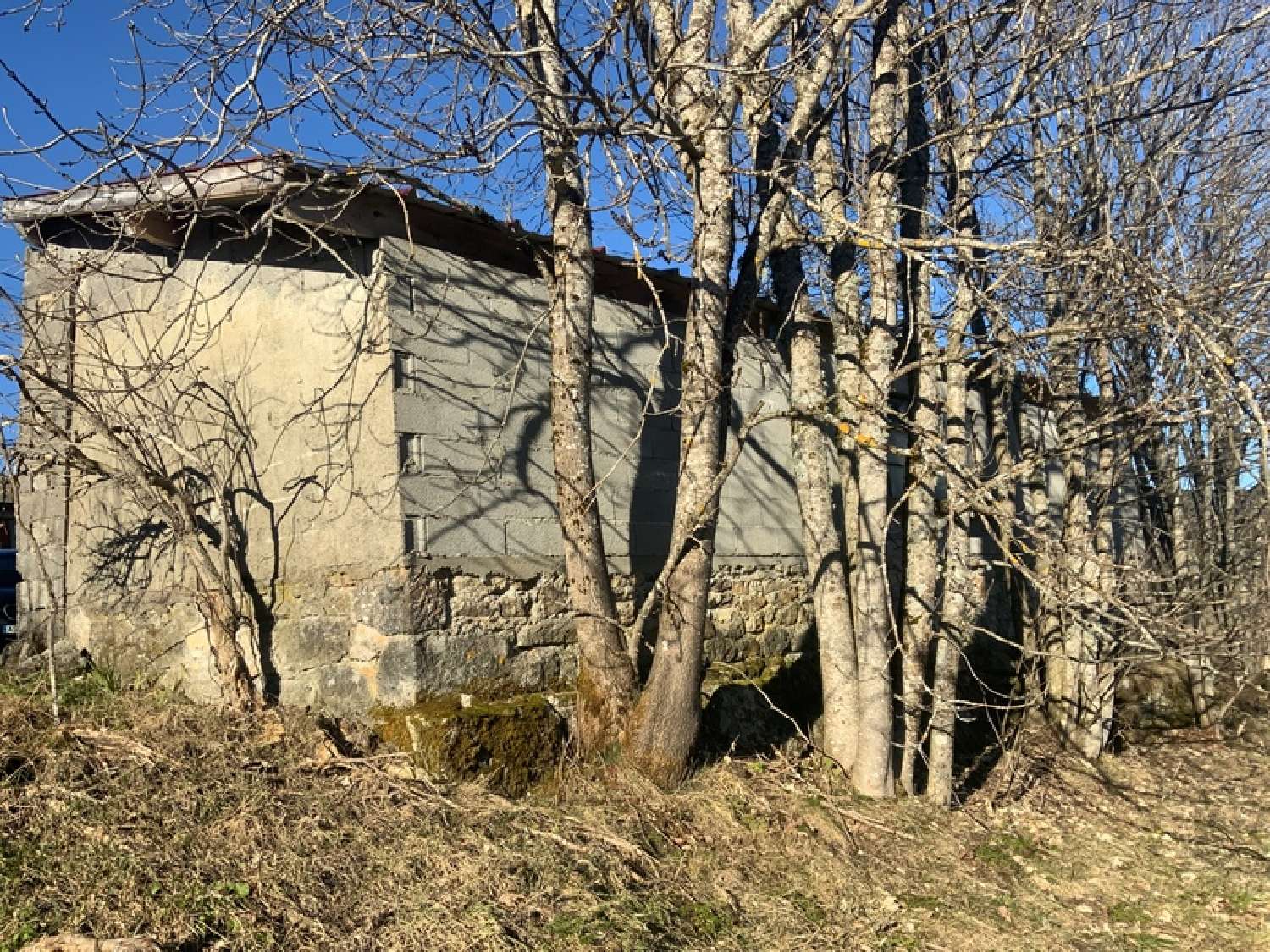  kaufen Haus La Chambonie Loire 7