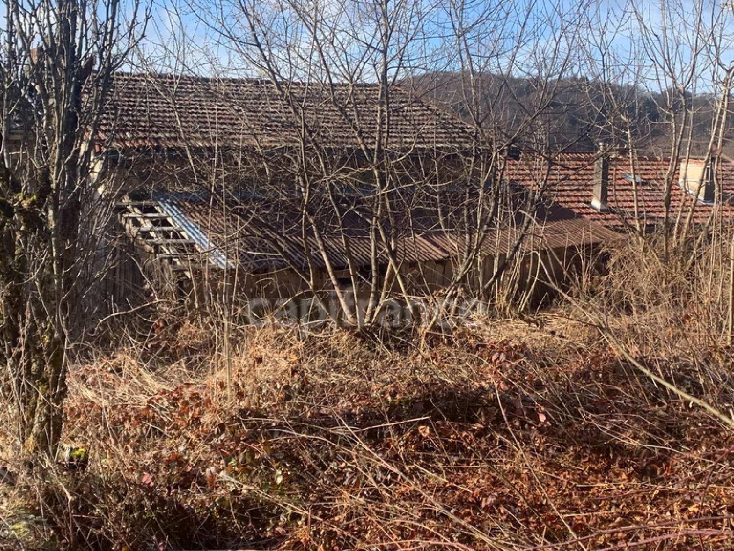  à vendre maison La Renaudie Puy-de-Dôme 5