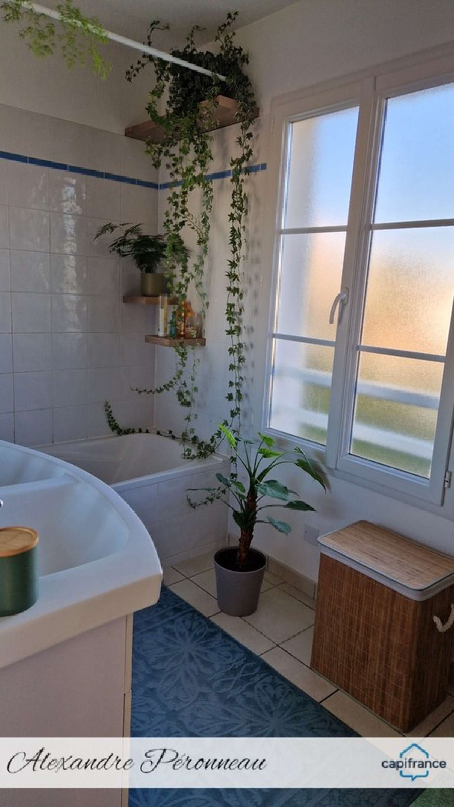  kaufen Haus La Tremblade Charente-Maritime 6