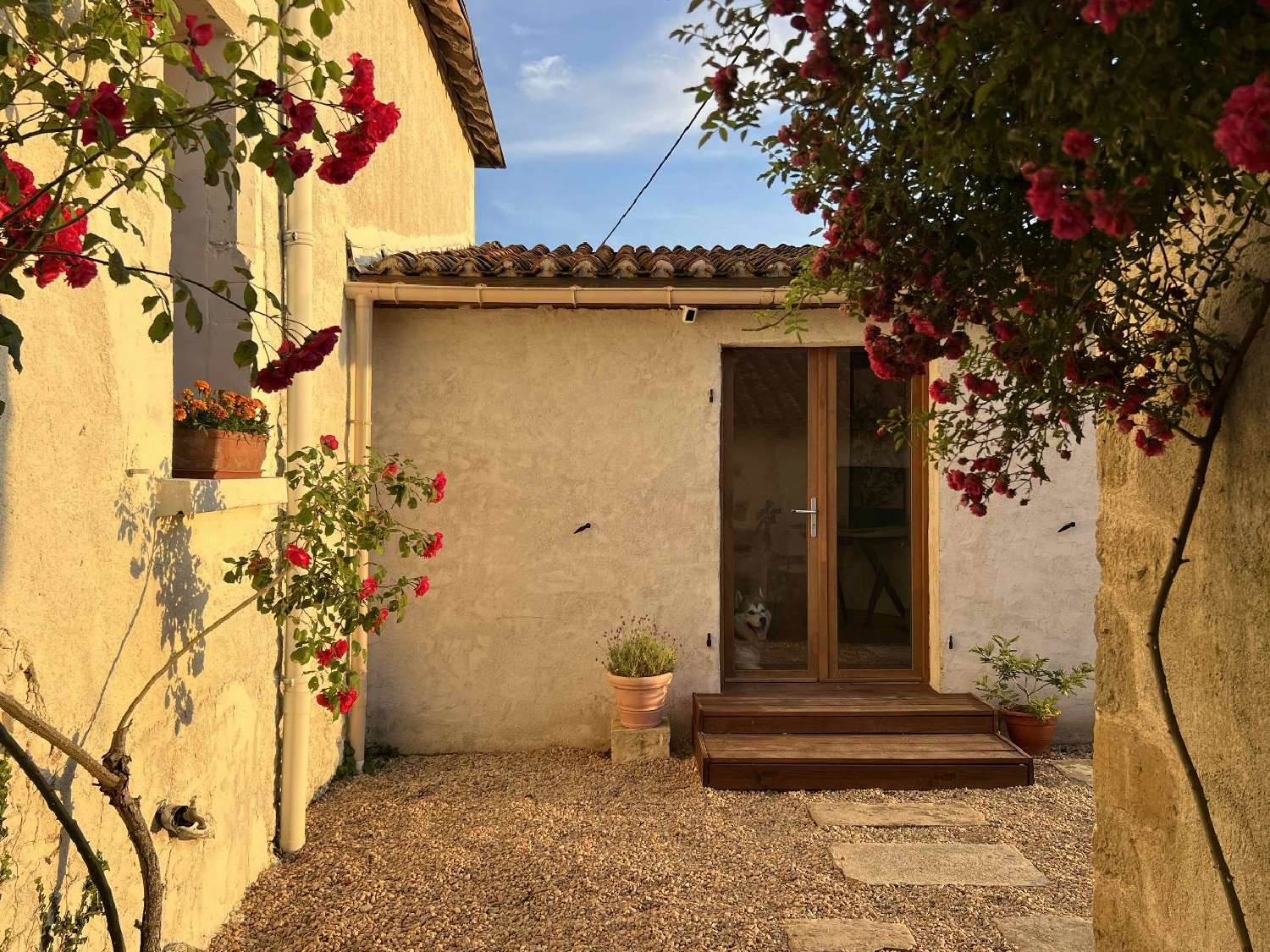  kaufen Haus Le Vigeant Vienne 3