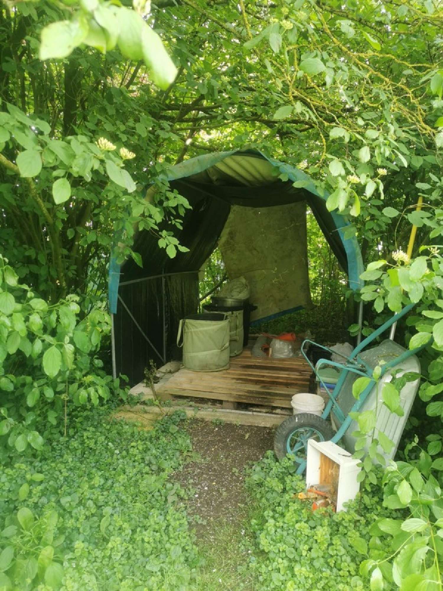 kaufen Haus Le Chesne Eure 5