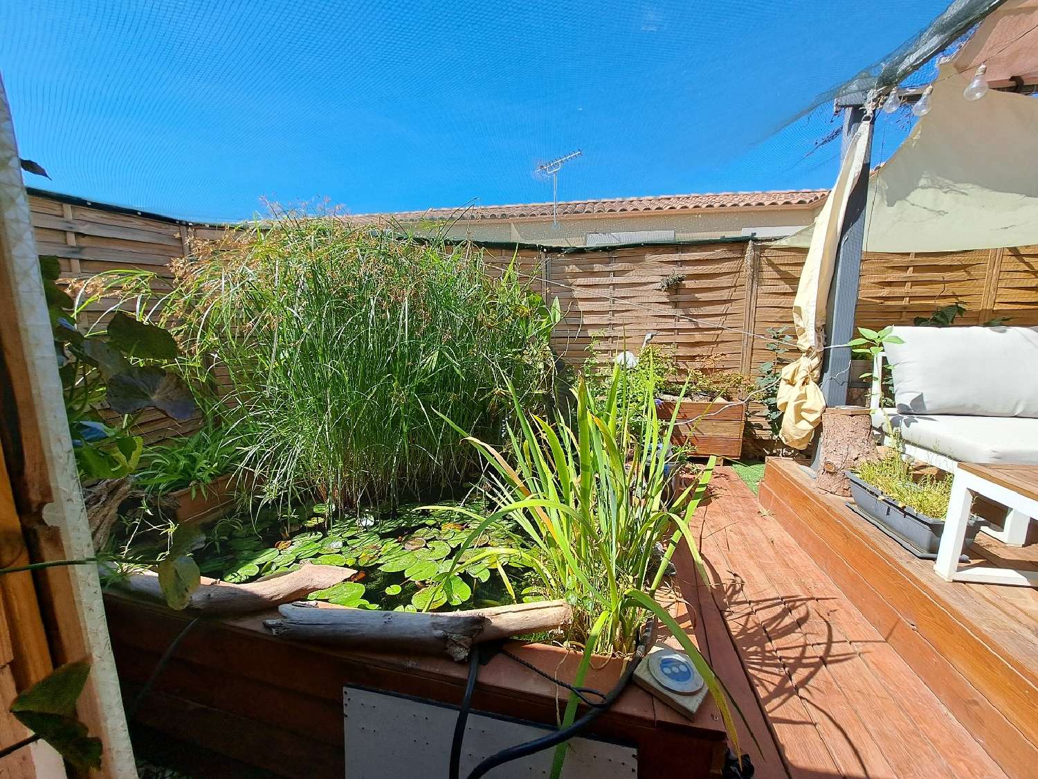  kaufen Haus Marseillan Hérault 1