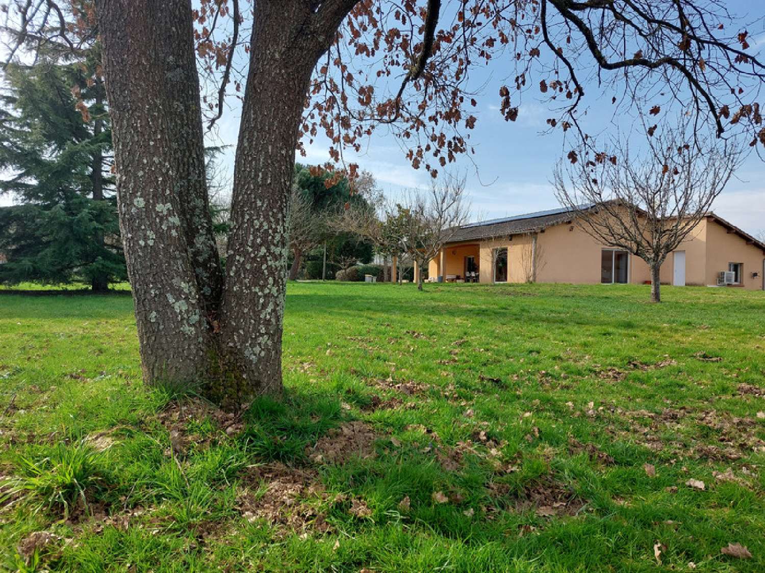  kaufen Haus Montauban Tarn-et-Garonne 6