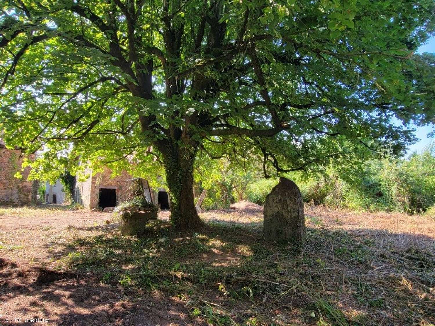  kaufen Haus Brigueuil Charente 6