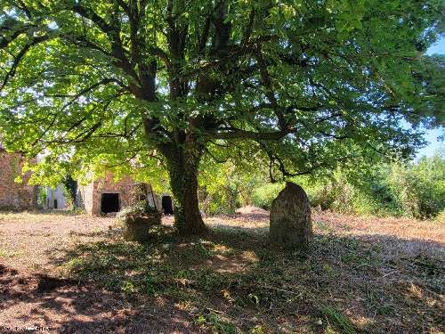  à vendre maison Lesterps Charente 6