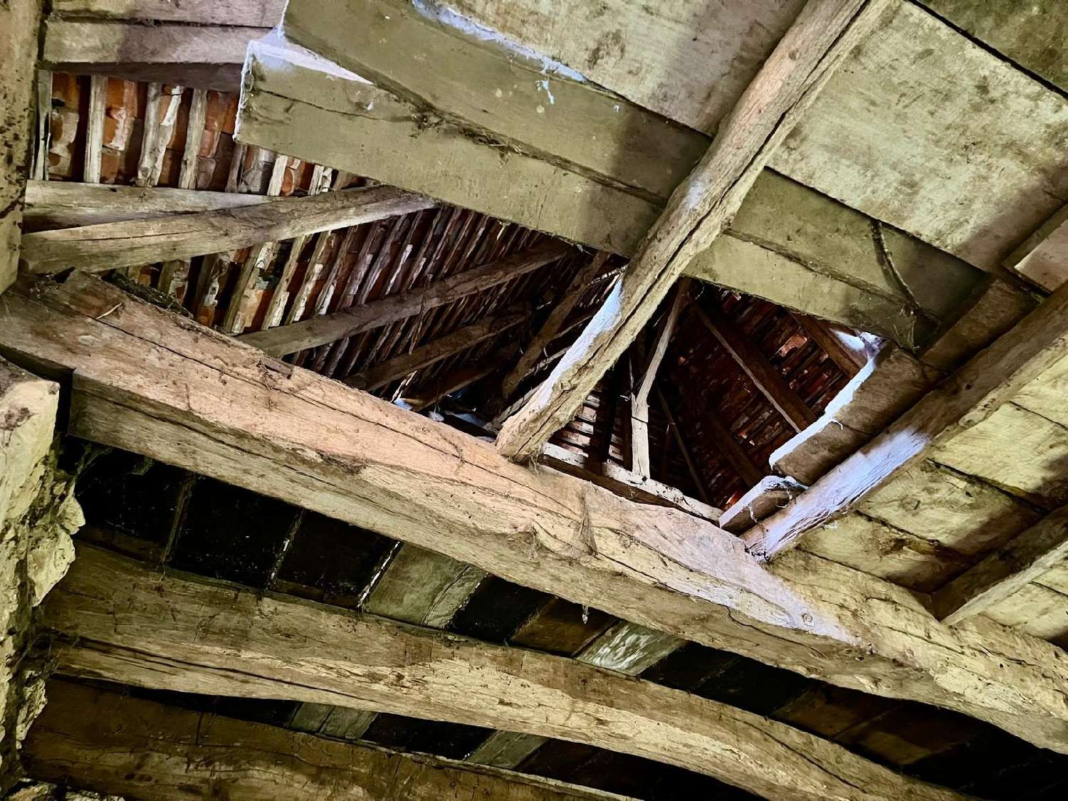  kaufen Haus Nanthiat Dordogne 8