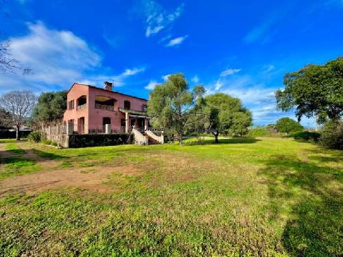 Penta-di-Casinca Haute-Corse Haus Bild 7031312